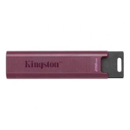 Pendrive 1tb kingston datatraveler max usb 3.2 - Imagen 2