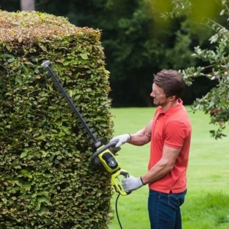 Cortasetos Eléctrico Ryobi RHT6160RS/ 600W/ Longitud Cuchilla 60cm - Imagen 2